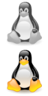 Hire dedicated Linux developer